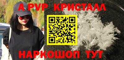 шишки Тулун