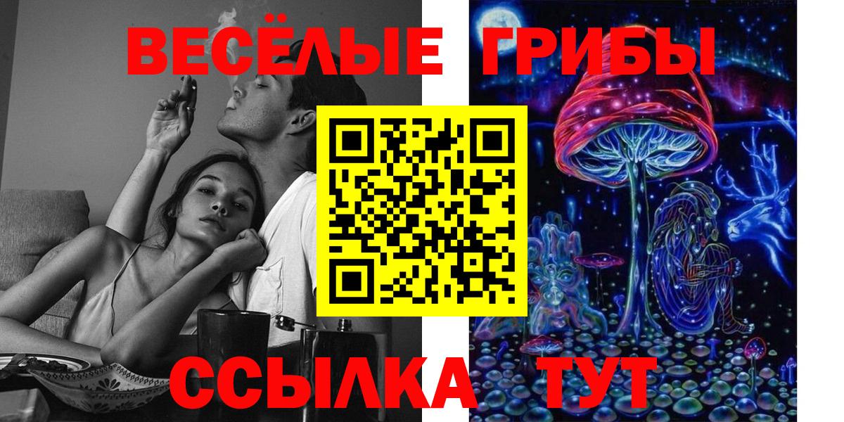 Галлюциногенные грибы Psilocybe Гагарин