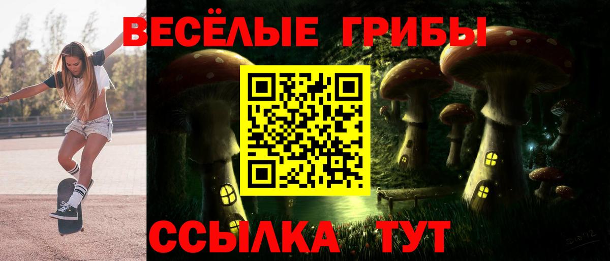 Галлюциногенные грибы Psilocybe  Вход с VPN  где купить наркотик  Гагарин 